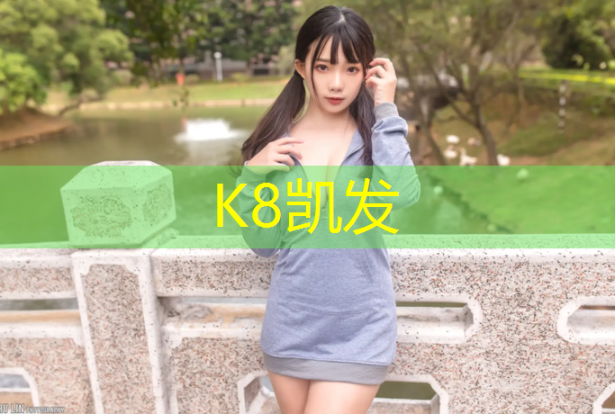 K8凯发：连杆踏步机健身器材